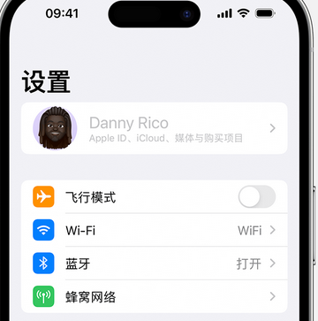 宾县appleID维修服务iPhone设置中Apple ID显示为灰色无法使用 