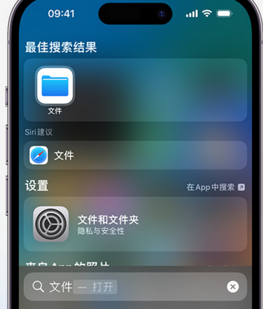 宾县apple维修中心分享iPhone文件应用中存储和找到下载文件 