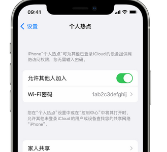 宾县apple服务站点分享iPhone上个人热点丢失了怎么办