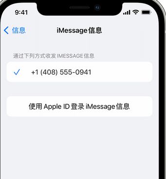 宾县apple维修iPhone上无法正常发送iMessage信息 