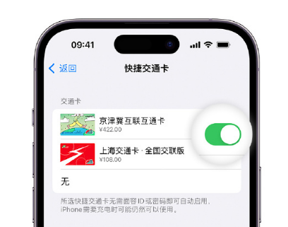 宾县apple维修点分享iPhone上更换Apple Pay快捷交通卡手绘卡面 