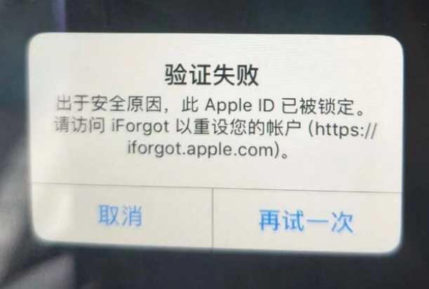 宾县iPhone维修分享iPhone上正常登录或使用AppleID怎么办 