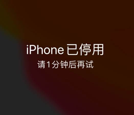 宾县苹果手机维修分享:iPhone 显示“不可用”或“已停用”怎么办？还能保留数据吗？ 