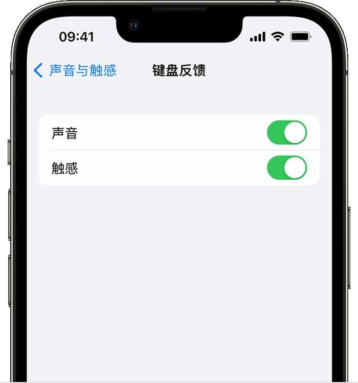 宾县苹果14维修店分享如何在 iPhone 14 机型中使用触感键盘 