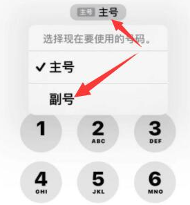 宾县苹果14维修店分享iPhone 14 Pro Max使用副卡打电话的方法 