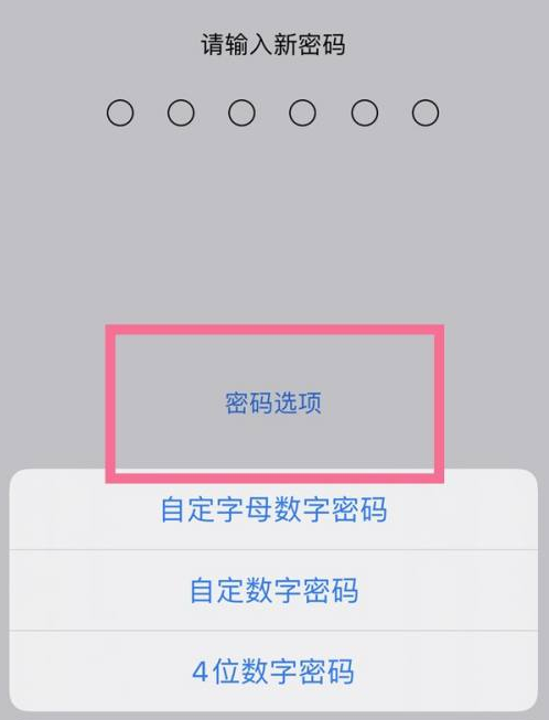 宾县苹果14维修分享iPhone 14plus设置密码的方法 