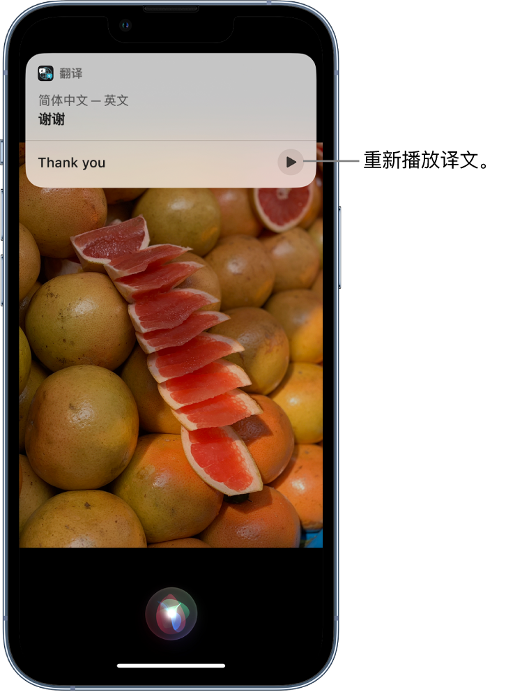 宾县苹果14维修分享 iPhone 14 机型中使用 Siri：了解 Siri 能帮你做什么 