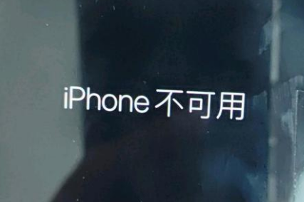 宾县苹果服务网点分享锁屏界面显示“iPhone 不可用”如何解决 
