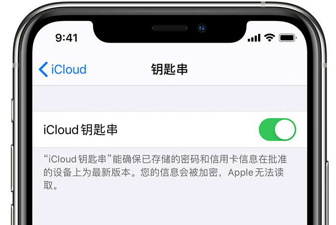 宾县苹果手机维修分享在 iPhone 上开启 iCloud 钥匙串之后会储存哪些信息 