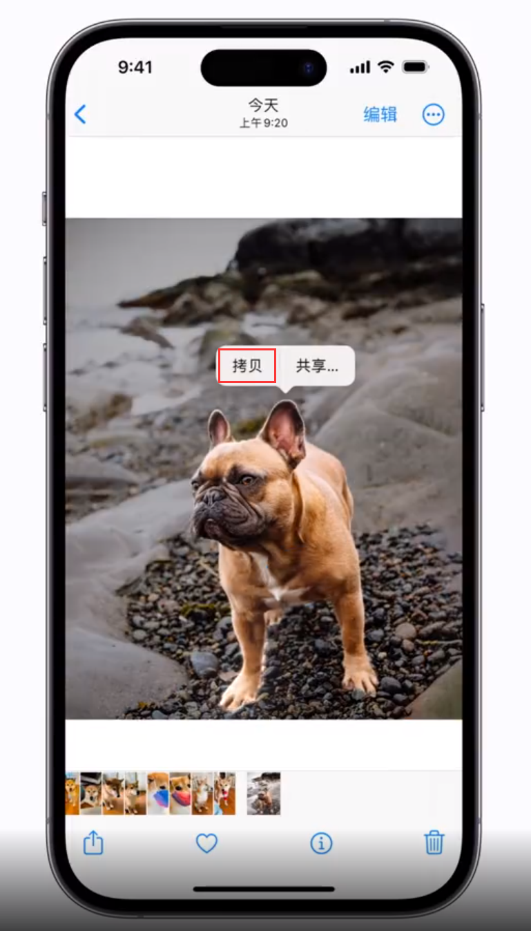 宾县苹果手机维修分享 iOS 16 自带一键抠图功能 