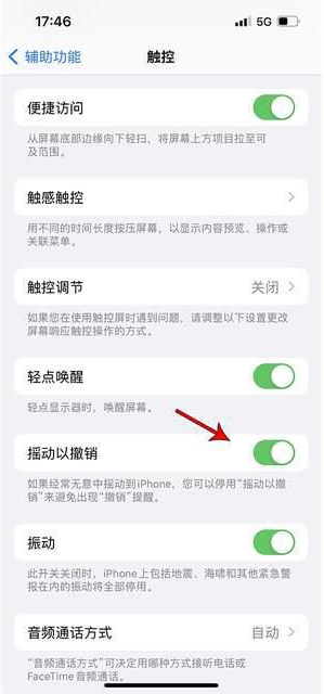 宾县苹果手机维修分享iPhone手机如何设置摇一摇删除文字 