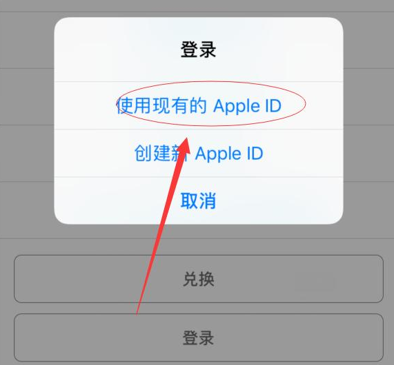 宾县苹果手机维修分享两台iPhone设备可以同时登录一个Apple ID吗 