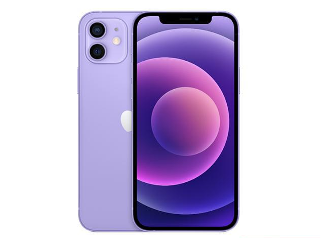 宾县苹果手机维修分享现阶段要不要入手紫色版iPhone12 