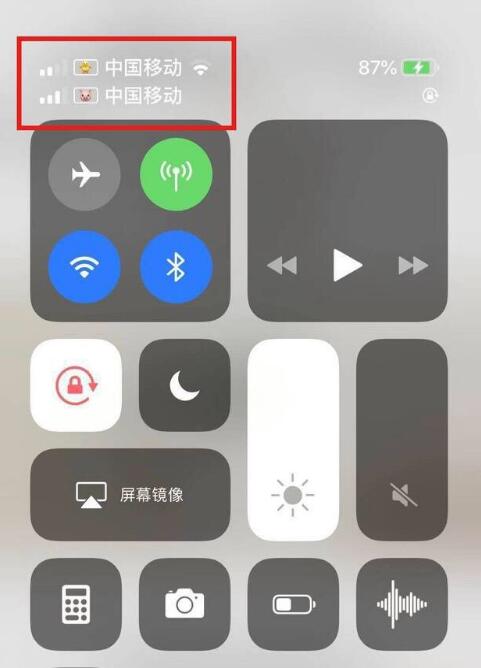 宾县苹果手机维修分享为 iPhone 12 双卡设置标签 