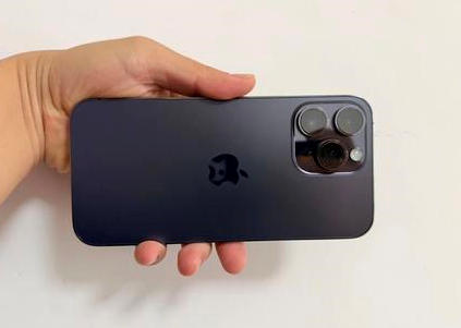 宾县苹果维修点分享iPhone 14 Pro Max黑屏少见故障盘点 